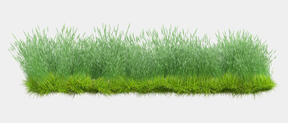 Background illustration of green field of grass with flowers. 3D rendering. Useful for commercial banners and print