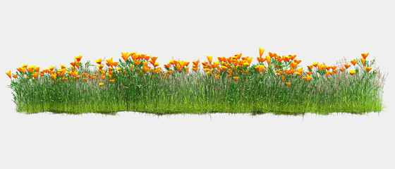 Background illustration of green field of grass with flowers. 3D rendering. Useful for commercial banners and print