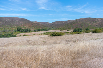 Obraz premium La Jolla Canyon Trail