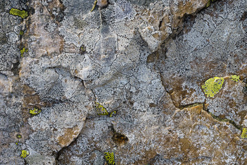 Colorful Map and Smoky-eyed boulder lichens on granite boulders in a pristine wilderness creating natural abstract patterns.
