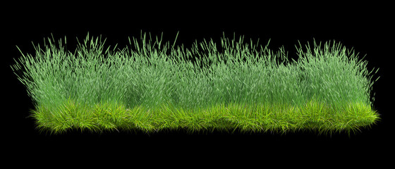 Background illustration of green field of grass with flowers. 3D rendering. Useful for commercial banners and print