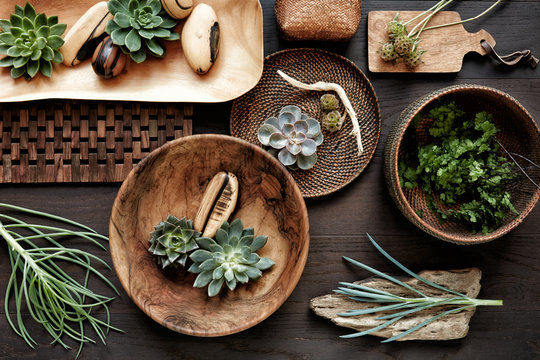 Natural home decor still life with wood and succulents