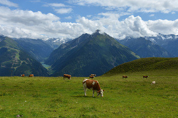 Zillertaler Alpen, Blick vom Penken zum Stilluptal, &Ouml;sterreich