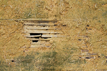Detail of the wall of a traditonal farmhouse in southern France, made of wood, loam and straw
