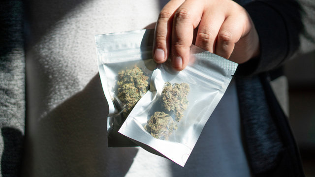 Anonymous hands holding bags of marijuana