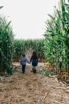 kids explore a corn maze on a fall day