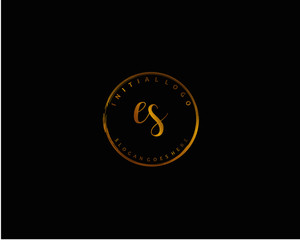 ES Initial letter logo template vector	
