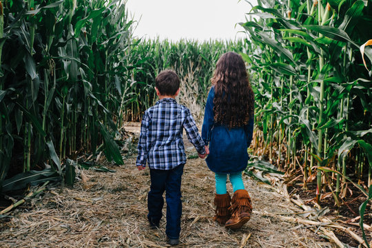 kids explore a corn maze on a fall day
