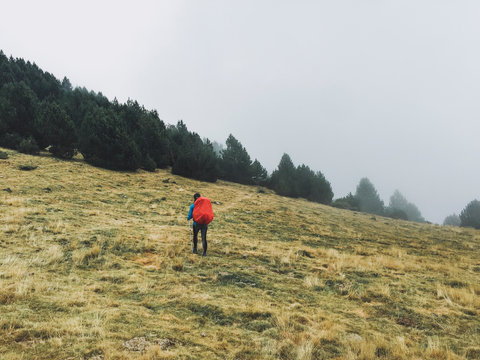 Female hiker looking at mountains