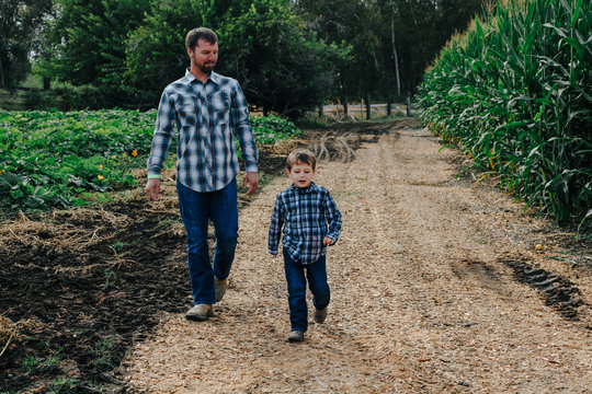 father and son walk along pumpkin patch