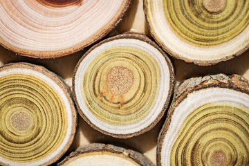 cut tree with green annual rings. DIY wooden product.