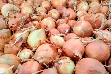 yellow onions in the market