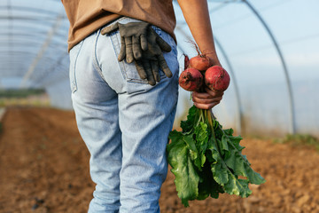 Ecological agriculture.