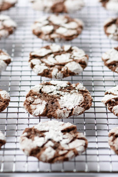 Chocolate Crinkle Cookies