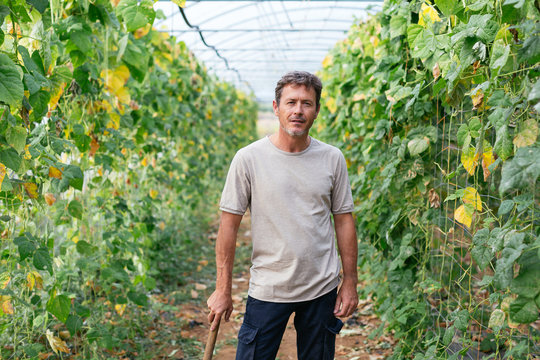Ecological agriculture.