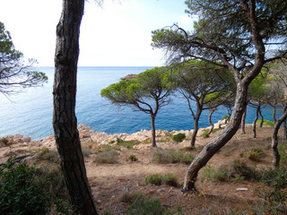 Paisaje de la Costa Brava catalana, España, con el mar azul, islas, aguas cristalinas, árboles y acantilados