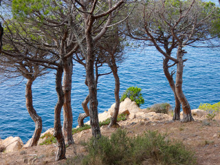 Paisaje de la Costa Brava catalana, España, con el mar azul, islas, aguas cristalinas, árboles y acantilados