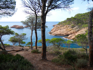 Fototapeta na wymiar Paisaje de la Costa Brava catalana, España, con el mar azul, islas, aguas cristalinas, árboles y acantilados