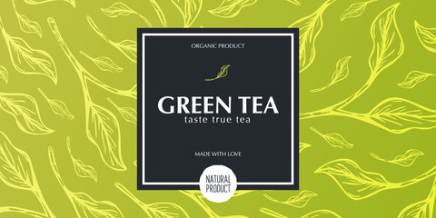 Green tea banner with hand draw leaves on the background.