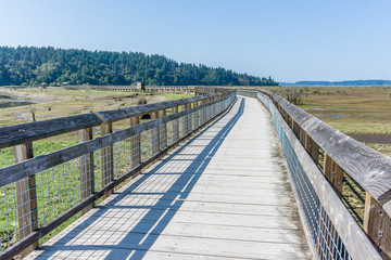 Fototapeta premium Nisqually Wetlands Mud Flats And Boardwalk 6