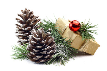 Snowy spruce branch with fir cones and gift box isolated on white background.