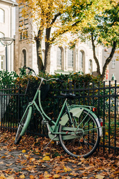Bicycle In Autumn