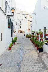 Street decorated with white houses and potted plants