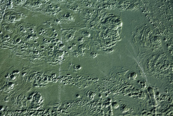 Old military relief texture of the tank green color