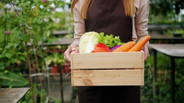 Portrait of cheerful young girl farmer carrying box of vegetables in light greenhouse walking alone looking around wearing pron and hat. Youth and occupation concept.