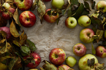 top view of ripe apples with branch and leaves with copy space