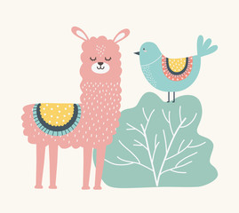 Llama and bird cartoon design vector illustration