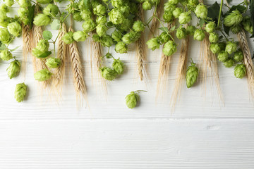 Hop cones and spikelets on white wooden background, copy space