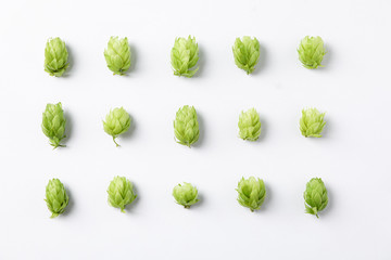 Flat lay composition with hop on white background, space for text
