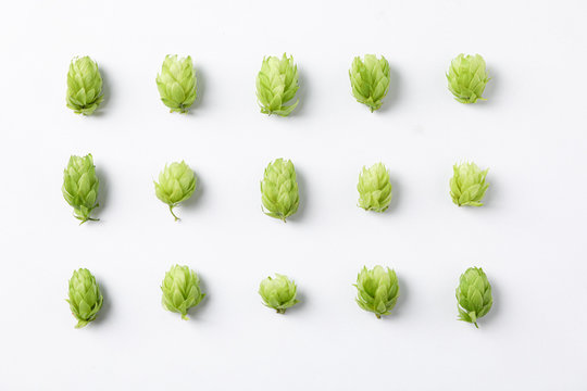 Flat lay composition with hop on white background, space for text