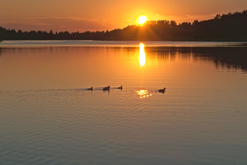 Obraz na płótnie Canvas Kostroma river at sunset in the summer. Kostroma, Russia.