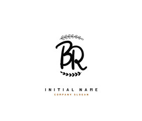 B R BR Beauty vector initial logo, handwriting logo of initial signature, wedding, fashion, jewerly, boutique, floral and botanical with creative template for any company or business.