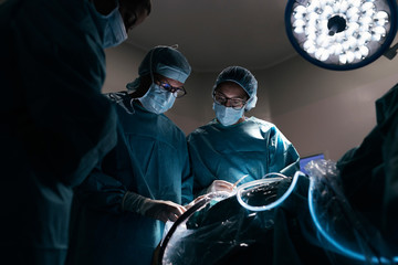 Team of Surgeons Operating in the Hospital