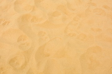 closeup of sand pattern of a beach in the summer