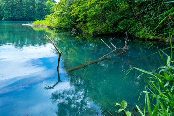 福島県の毘沙門沼（五色沼）