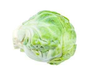 Fototapeta premium ripe fresh brussels sprout isolated on white