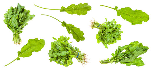 various leaves of cress (tsitsmati) plant