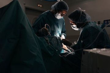 Team of Surgeons Operating in the Hospital