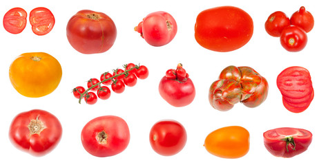 various fresh tomatoes isolated on white