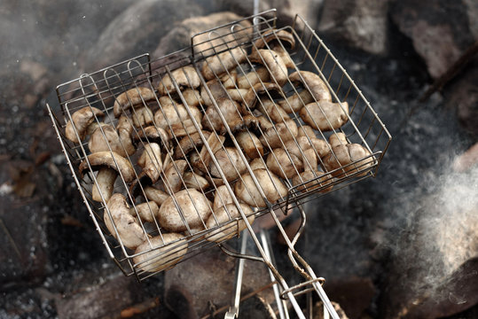 Mushrooms on bonfire