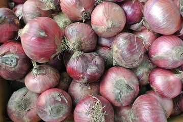 Shallot is a plant in the lily family, based on the French gray challot or griselle in this species Cultivated in Central and Southwest Asia, Allium cepa var. Aggregatum, also known as A. ascalonicum