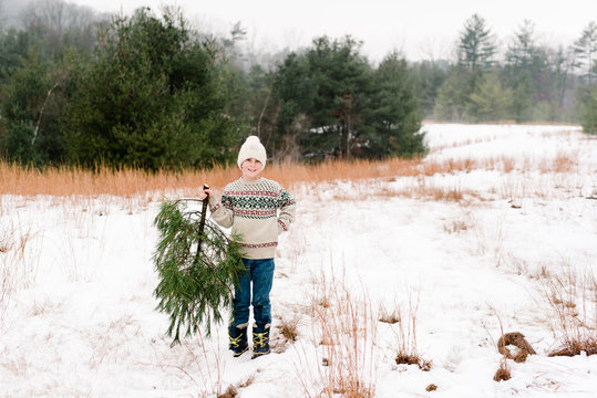 boy holding a pine /Christmas tree he just cut down on a cold wintry day