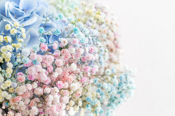 a nice colourful bunch of small flowers on a white background