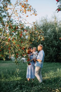 Cheerful young family with baby daughter near the rowan tree at early autumn sunny day