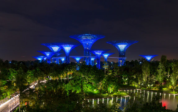 Gardens by the Bay with Supertree Grove and skywalk at night, Singapore