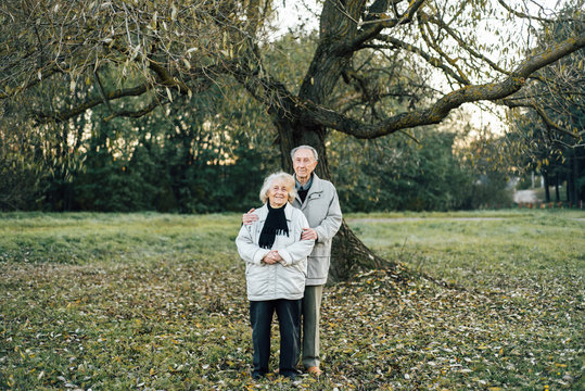 Romantic aged couple holding hands in park